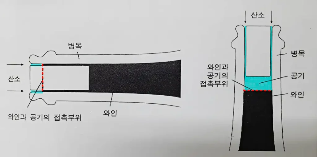 와인과 공기의 접촉 부위 비교 헤드스페이스