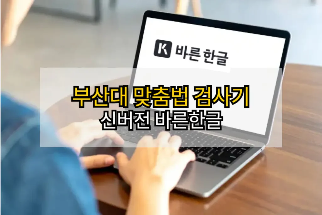 부산대 맞춤법 검사기 (신버전 바른한글)