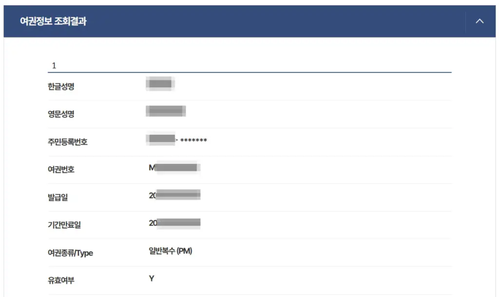 정부24 여권 발급 이력 조회 화면 예시