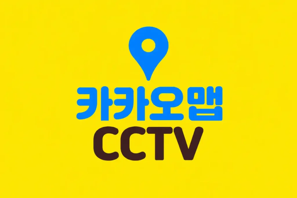 카카오맵 cctv 보는법