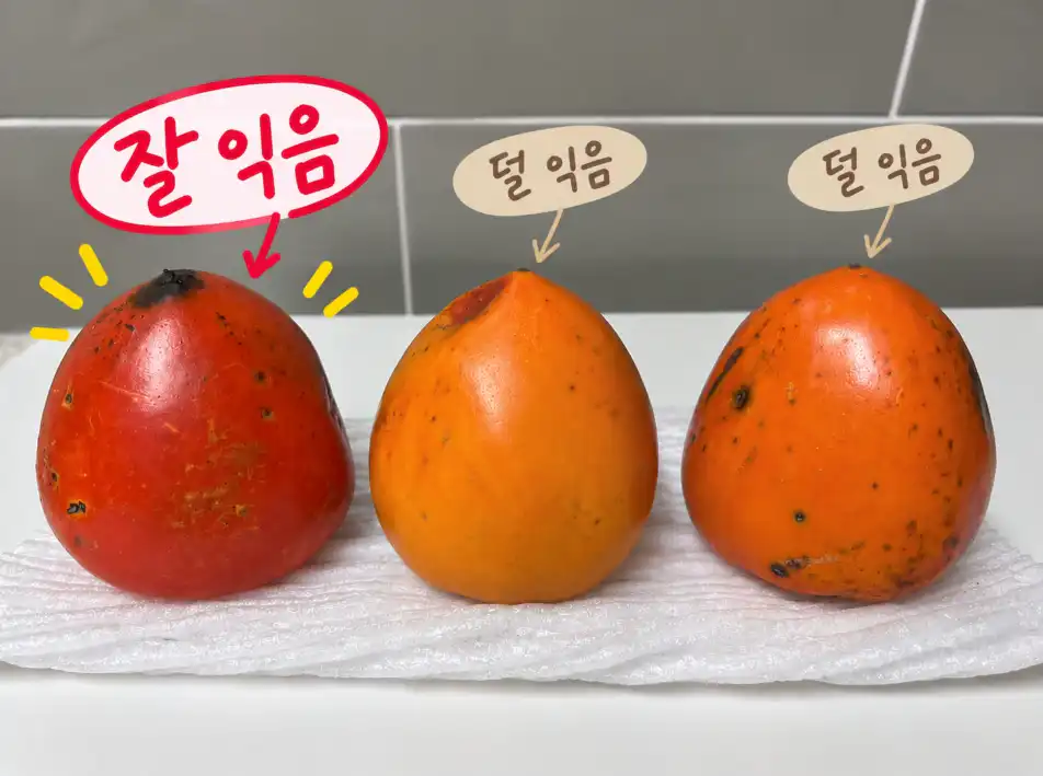 대봉감 익은상태 비교